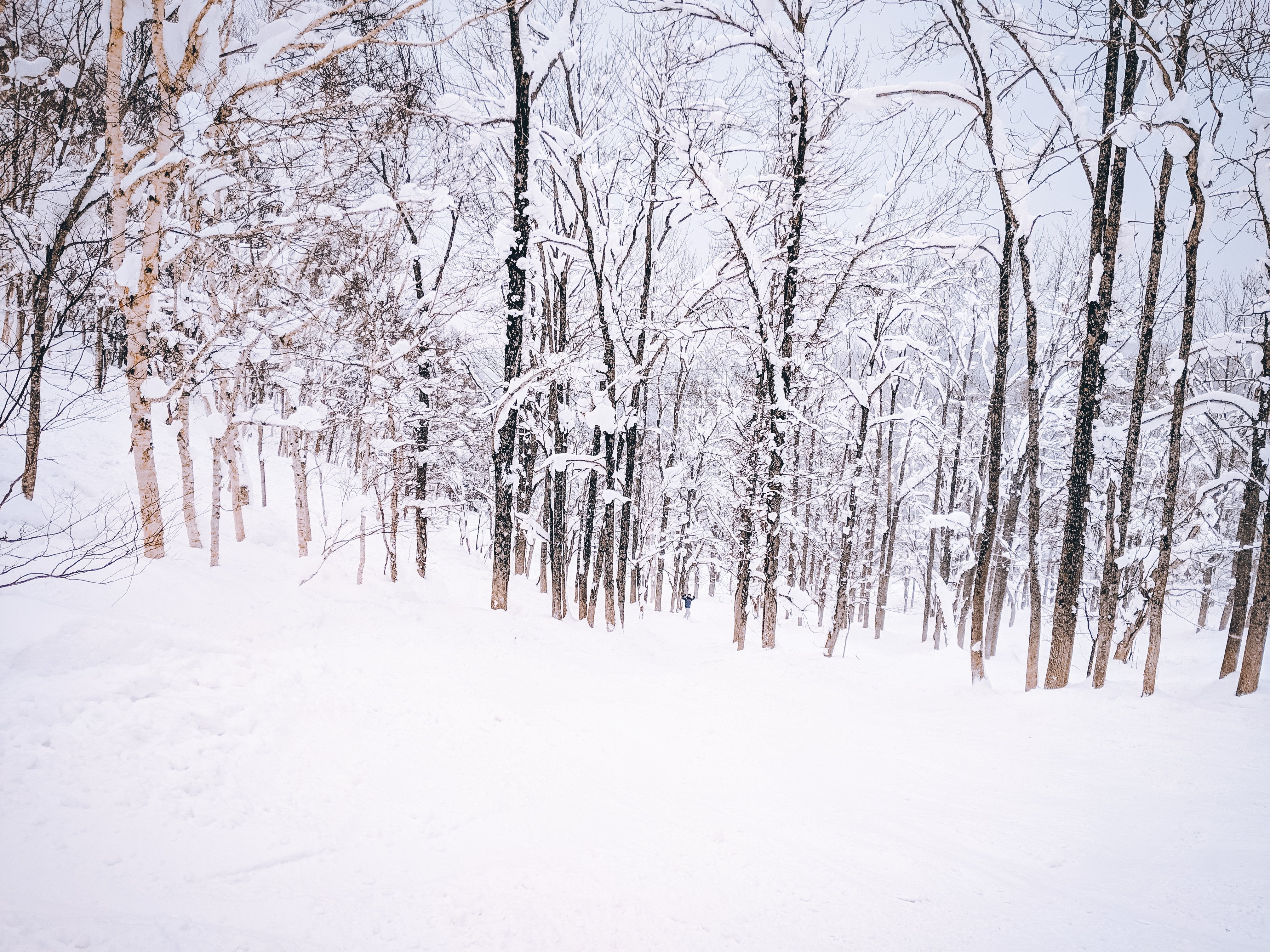 10 Affordable Outdoor Activities With Kids And Teens At The Snow-SnowKids