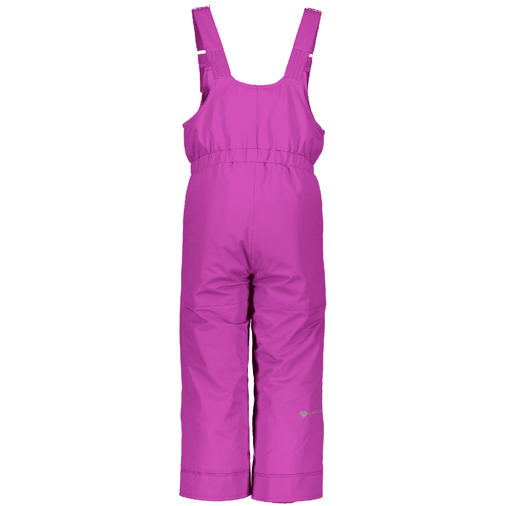 Obermeyer Outerwear Pants Obermeyer Girls Snoverall Pant - Prickly Pear